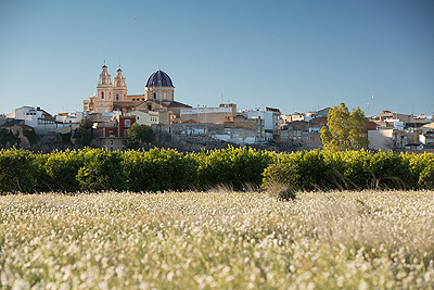 Vista del pueblo sobre unos campos de naranjos - Ribarroja del TÃºria - Sergio Arias Ramón