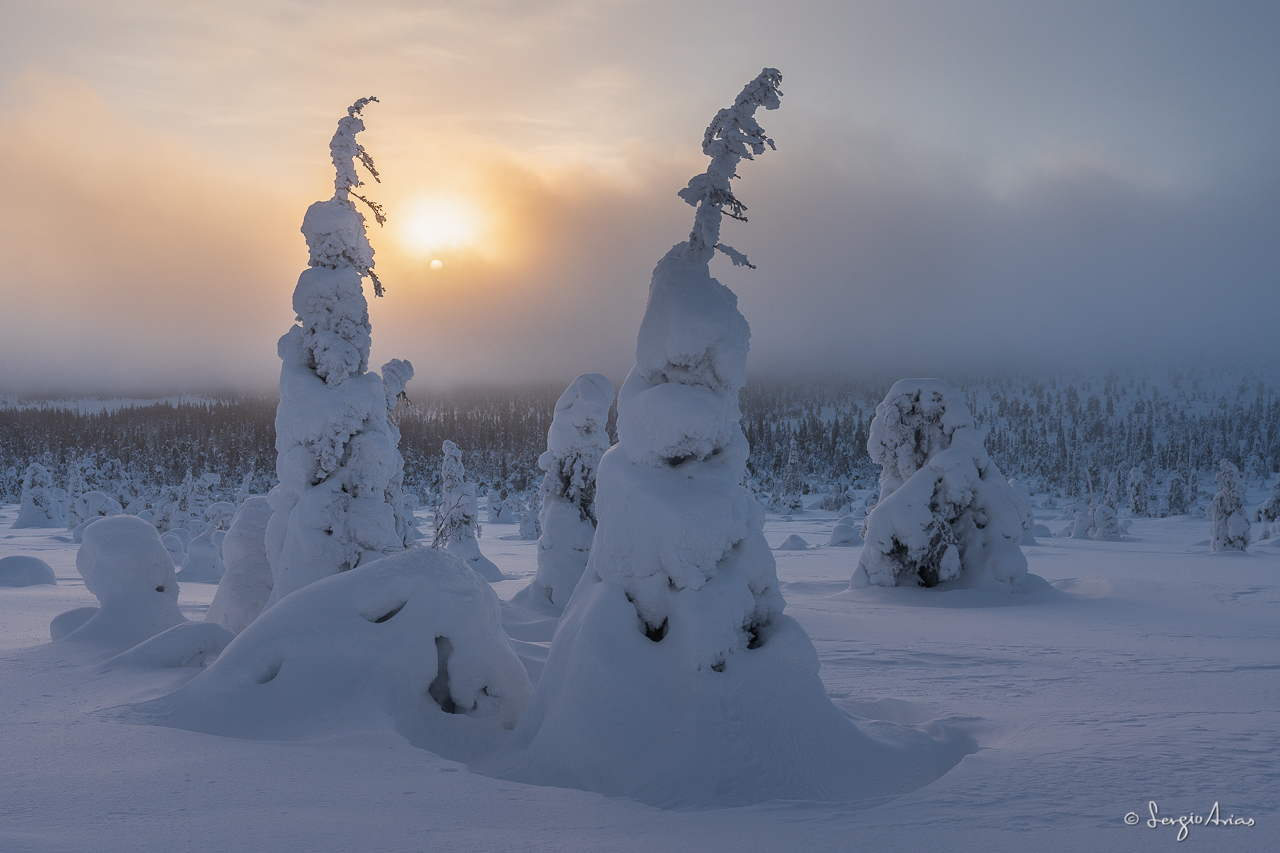 Viaje fotográfico a Finlandia (Laponia)