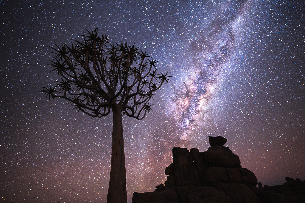 Viaje fotográfico a Namibia