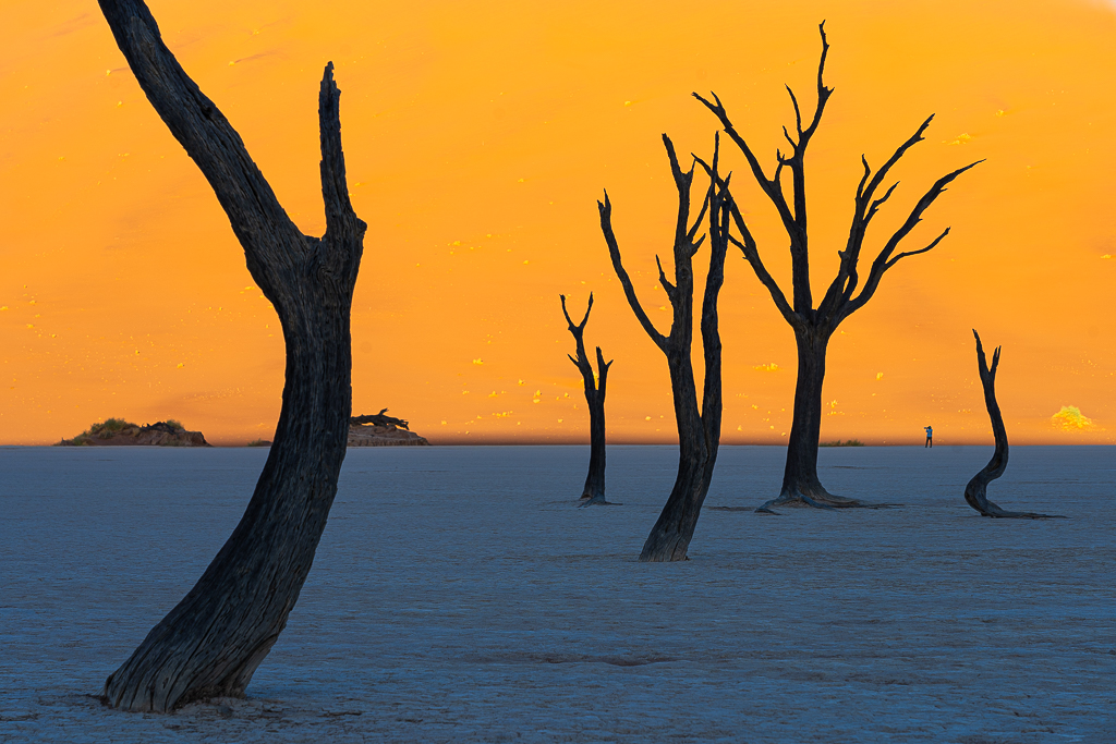 Viaje fotográfico a Namibia
