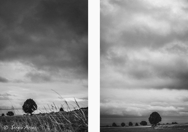 Árboles y nubes