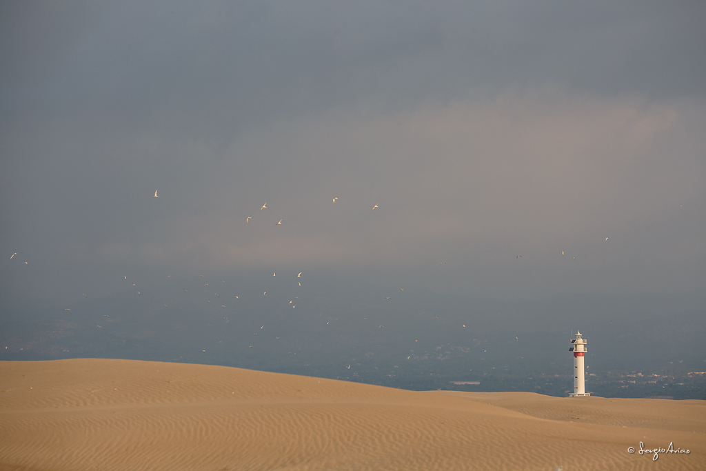 Punta del fangar - Delta del Ebro