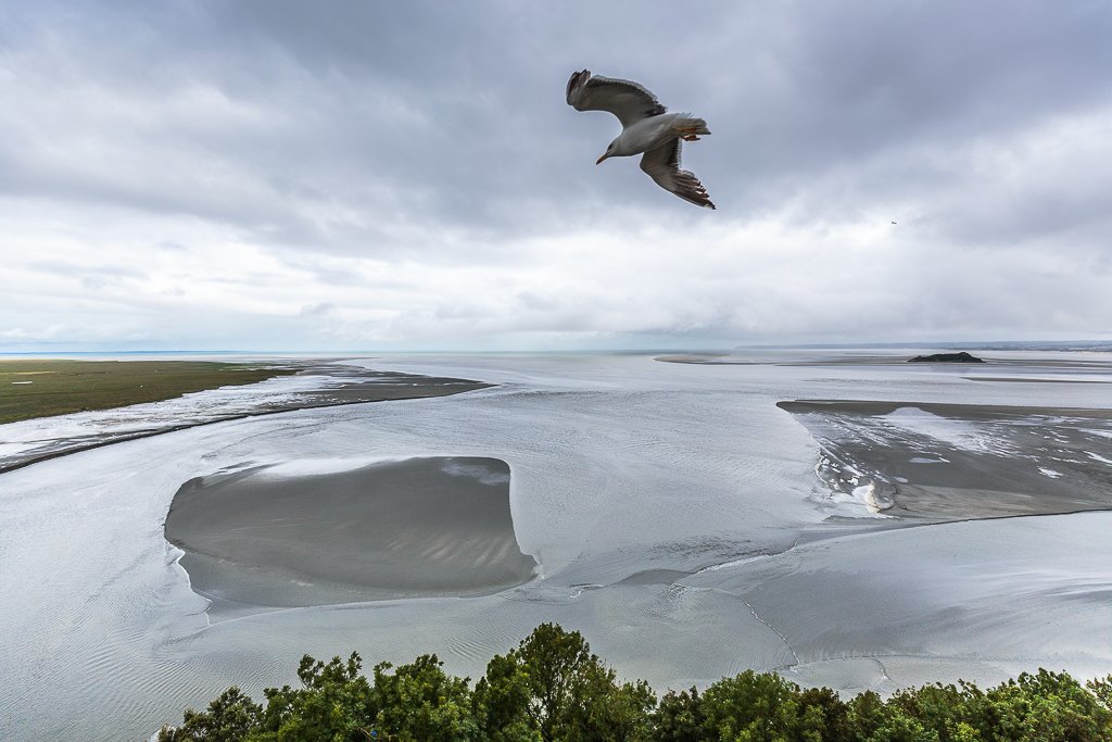 Las gaviotas sobrevuelan la Abadía, mientras la marea sube rápidamente Las gaviotas sobrevuelan la Abadía, mientras la marea sube rápidamente