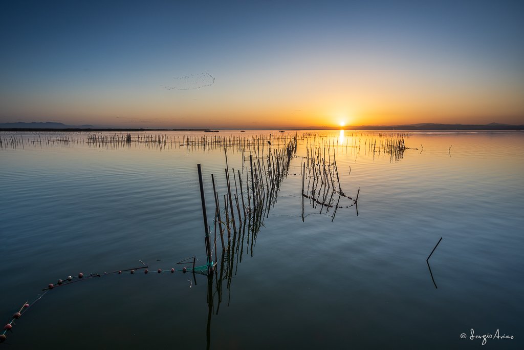 Lee más sobre el artículo Conociendo la Albufera: Taller de paisaje