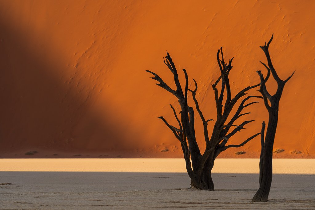 Lee más sobre el artículo Deadvlei: El sitio más fotogénico de Namibia