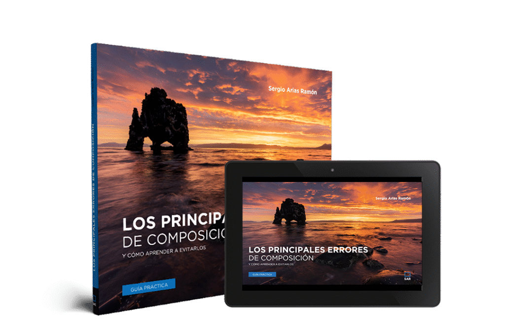 Libro electrónico "Los principales errores de composición"